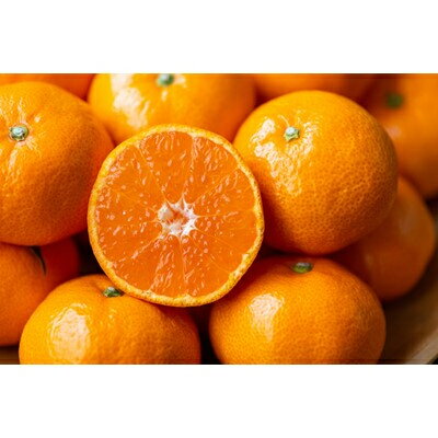 【ふるさと納税】【愛媛名産】玉宝みかん(3kg/5kg/10kg/20kg)_ みかん 愛媛 ミカン 蜜柑 愛媛県 愛媛みかん 柑橘 果実 果物 くだもの フルーツ ふるーつ デザート 人気 ジューシー おいしい 国産 八幡浜市 産地直送 産直 送料無料 【G1340879】 サムネイル2