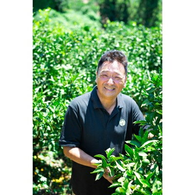 【ふるさと納税】【愛媛名産】玉宝みかん(3kg/5kg/10kg/20kg)_ みかん 愛媛 ミカン 蜜柑 愛媛県 愛媛みかん 柑橘 果実 果物 くだもの フルーツ ふるーつ デザート 人気 ジューシー おいしい 国産 八幡浜市 産地直送 産直 送料無料 【G1340879】 サムネイル3