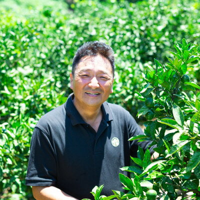 【ふるさと納税】【愛媛名産】玉宝みかん(3kg×2箱)【D64-3】【1340915】 サムネイル3