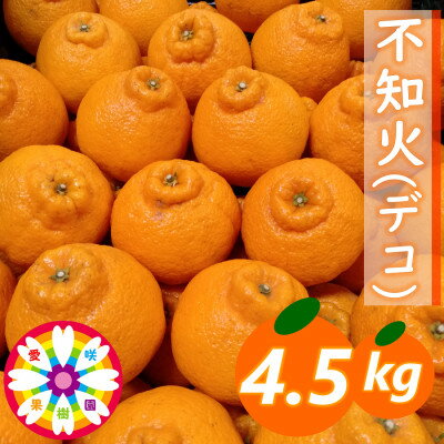 愛咲果樹園 「 不知火 ( デコ )」約4.5kg【C71-12】_ みかん ミカン 柑橘 くだもの 果物 フルーツ 不知火 しらぬい デコ ジューシー 甘い 常温 デザート 産地直送 産直 愛媛 【1344721】