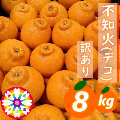 愛咲果樹園 「 不知火 ( デコ )」 訳あり 約8kg【C71-13】_ 訳アリ わけあり ワケアリミカン みかん しらぬい シラヌイ デコ 常温 フルーツ 果物 くだもの 家庭用 人気 柑橘 かんきつ 不揃い 規格外 傷 愛媛 旬【1344724】