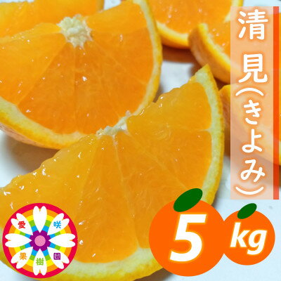 愛咲果樹園 「 清見 」約5kg【C71-14】_ みかん ミカン 柑橘 くだもの 果物 フルーツ 清見 きよみ ジューシー 甘い 常温 デザート 産地直送 産直 愛媛 人気 【1344729】