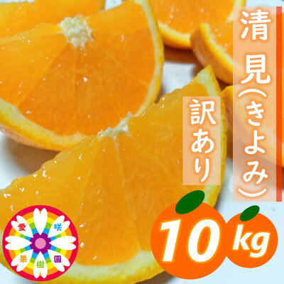 愛咲果樹園 「 清見 」 訳あり 約10kg【C71-15】_ みかん ミカン 柑橘 くだもの 果物 フルーツ 清見 きよみ 甘い ワケアリ 訳あり わけあり 規格外 傷 不揃い 常温 デザート 産地直送 産直 愛媛 人気 【1344734】