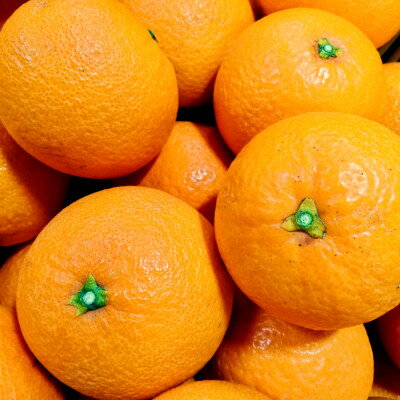 【ふるさと納税】愛咲果樹園 「 清見 」 訳あり 約10kg【C71-15】_ みかん ミカン 柑橘 くだもの 果物 フルーツ 清見 きよみ 甘い ワケアリ 訳あり わけあり 規格外 傷 不揃い 常温 デザート 産地直送 産直 愛媛 人気 【1344734】 サムネイル2