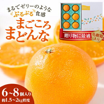 【2025年発送】紅まどんなと同品種 愛媛果試28号 ギフトボックス入り6～8個(のし あり/なし)_ みかん ミカン 蜜柑 まごころまどんな 果物 くだもの フルーツ 希少 甘い おいしい かんきつ【G1346971】