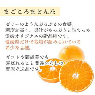 【ふるさと納税】【2025年発送】紅まどんなと同品種 愛媛果試28号 ギフトボックス入り6～8個(のし あり/なし)_ みかん ミカン 蜜柑 まごころまどんな 果物 くだもの フルーツ 希少 甘い おいしい かんきつ【G1346971】 サムネイル3