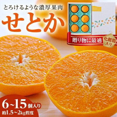 【2026年2月以降発送】とろける濃厚柑橘 せとか ギフトボックス入り【E25-98】_ 柑橘 ミカン せとか オレンジ フルーツ 果物 くだもの 人気 おすすめ 送料無料 甘い ジューシー 愛媛県 八幡浜市 化粧箱 ギフトボックス 【G1360096】