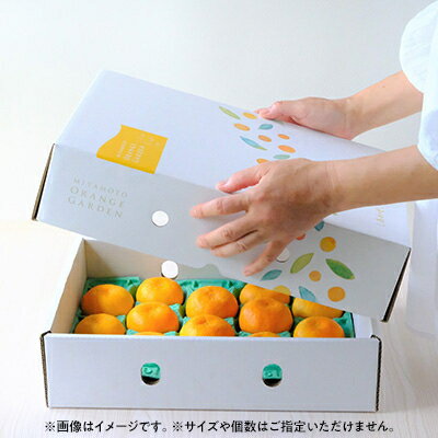 【ふるさと納税】【2026年2月以降発送】とろける濃厚柑橘 せとか ギフトボックス入り【E25-98】_ 柑橘 ミカン せとか オレンジ フルーツ 果物 くだもの 人気 おすすめ 送料無料 甘い ジューシー 愛媛県 八幡浜市 化粧箱 ギフトボックス 【G1360096】 サムネイル2