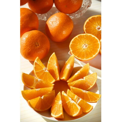 柑橘の鬼たちがつくる八幡浜産・鬼 マドンナ (2.7kg～3.0kg)[ 傷あり ]【E56-33】_ 蜜柑 ミカン みかん まどんな フルーツ 果物 くだもの 人気 美味しい ふるさと 柑橘類 【配送不可地域：離島・北海道・沖縄県】【1360891】