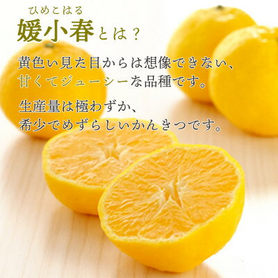 【ふるさと納税】【2026年1月下旬頃より順次発送】希少柑橘 媛小春(ひめこはる) 2.5kg【E25-144】_ みかん 蜜柑 ミカン 柑橘類 柑橘 フルーツ　果物 くだもの 人気 美味しい 愛媛県 八幡浜市 ふるさと 【1378626】 サムネイル2