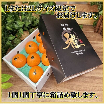 【ふるさと納税】極撰柑橘【雅】光センサー合格品・柑橘の大トロ「 せとか 」約2キロ　【C39-47】_ みかん ミカン 柑橘 せとか 果物 くだもの フルーツ 旬 青果 愛媛 柑橘の大トロ 【配送不可地域：離島】【1380610】 サムネイル3