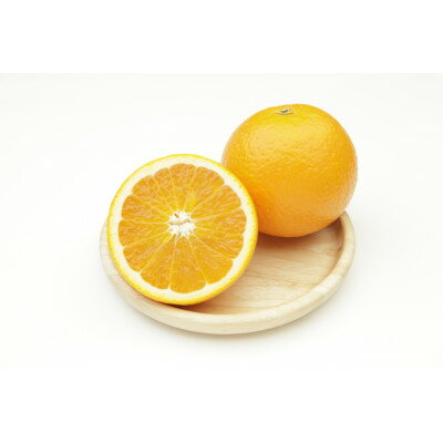 愛媛県八幡浜産　清見タンゴール8kg(わけあり)【C56-25】【配送不可地域：離島】【1396870】