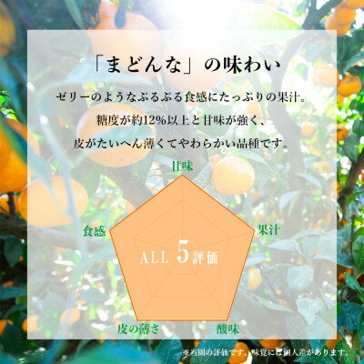 【ふるさと納税】「夕やけブランド」ぷるぷる食感【まどんな】2kg/3kg/5kg/10kg　※紅まどんなと同品種_ みかん 柑橘 まどんな 果物 くだもの フルーツ 人気 おすすめ 送料無料 甘い 濃厚 愛媛県 八幡浜市 【G1416588】 サムネイル2