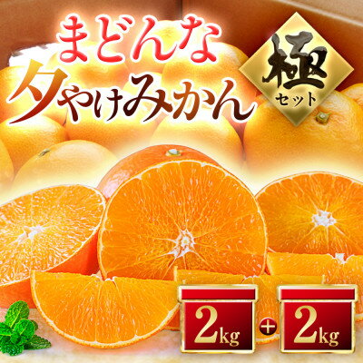 【夕やけブランド】ぷるぷる食感【まどんな】+【夕やけみかん】各2kgセット【E49-23】_ みかん ミカン 柑橘 マドンナ まどんな 果物 くだもの セット 食べ比べ フルーツ 甘い 希少 愛媛 極 【1416636】