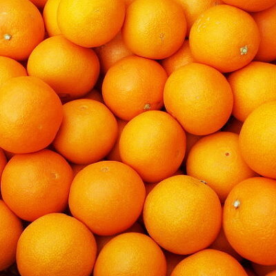 【ふるさと納税】【2025年11月以降発送】ゼリーのような食感!「媛一まどんな」約2.5kg入【C28-42】_ マドンナ 紅まどんな同品種 柑橘 柑橘類 ミカン みかん フルーツ 果物 くだもの 人気 美味しい 愛媛県 八幡浜 ふるさと 【1437098】 サムネイル2