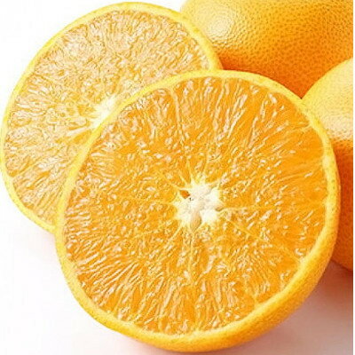 【ふるさと納税】愛媛の柑橘の代名詞!「せとか」約2.5kg入【C28-40】【1437356】 サムネイル2