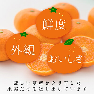 【ふるさと納税】コウ果樹園の贈答用はるか5kg【C33-33】_ はるか みかん ミカン 柑橘 フルーツ 果物 くだもの 完熟 産直 産地直送 甘い ジューシー 糖度 愛媛 おすすめ 【1441188】 サムネイル2