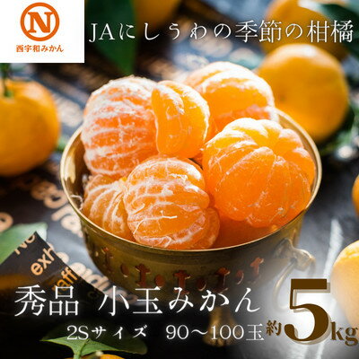 JAにしうわの季節の柑橘(八幡浜共選「秀品2S小玉みかん」約5kg)【C08-73】_ みかん ミカン 柑橘 フルーツ くだもの 果物 ふるーつ 青果 果実 甘い ジューシー 産直 産地直送 旬 柑橘類 人気 【1443230】