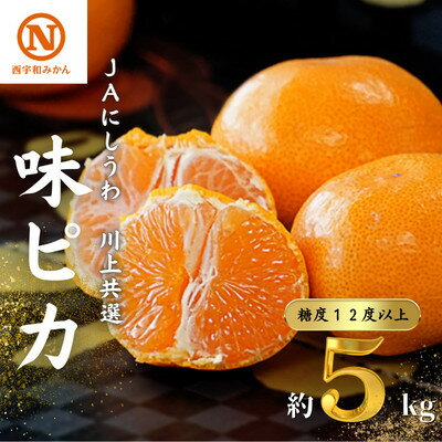 JAにしうわの季節の柑橘(川上共選　味ピカ5kg)【E08-24】【1443302】