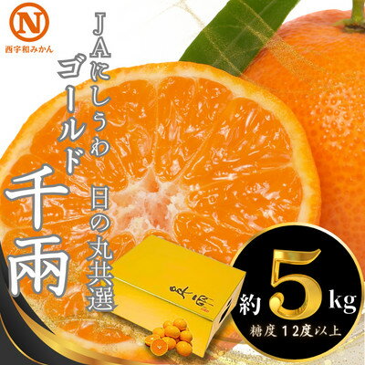 JAにしうわの季節の柑橘(日の丸共選「ゴールド千兩」約5kg)【F08-45】_ みかん ミカン 柑橘 フルーツ くだもの 果物 ふるーつ 青果 果実 甘い ジューシー 産直 産地直送 旬 柑橘類 人気 愛媛 果汁 八幡浜市 JA 農協 【1443339】