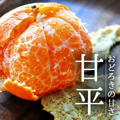 愛媛・八幡浜産「甘平:3kg」【訳あり】【D48-43】【1450449】