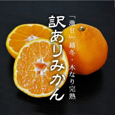 【1月から配送開始】「越冬・木なり完熟・みかん:6kg」【訳あり】【C48-51】【1450552】