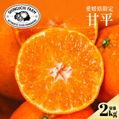 創業百八年 愛媛みかんの老舗【甘平】 2kg / 3kg / 5kg 家庭用【新口農園】_ みかん 柑橘 かんぺい 甘平 愛媛 八幡浜市 人気 おすすめ 送料無料 家庭用 愛媛みかん 【G1451141】