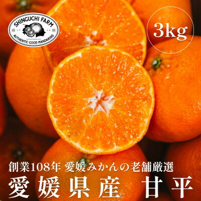 創業百八年 愛媛みかんの老舗【甘平3kg】家庭用【新口農園】【E70-11】_ みかん ミカン 柑橘 フルーツ 果物 くだもの 青果 甘平 かんぺい 産地直送 産直 愛媛 甘い 常温 家庭用 希少 名産地 【1451142】