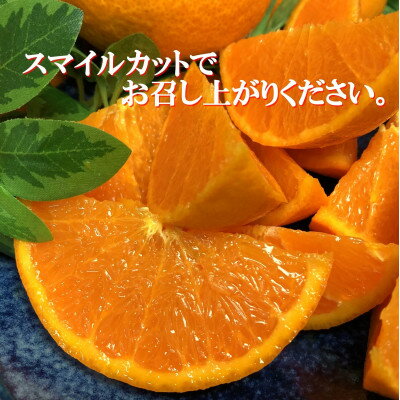 【ふるさと納税】2026年2月～順次出荷　柑橘の大トロ‼「せとか」約2kg 【C39-55】_ みかん ミカン 柑橘 せとか 果物 くだもの フルーツ 旬 愛媛 柑橘の大トロ 濃厚 甘み 国産 産直 産地直送 化粧箱 【配送不可地域：離島】【1462367】 サムネイル3