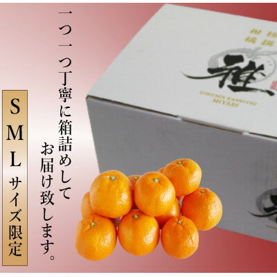 【ふるさと納税】極撰柑橘【雅】光センサー合格品「八幡浜温州みかん」約3キロ 【C39-53】_ みかん ミカン 柑橘 温州 果物 くだもの フルーツ 旬 愛媛 コク 甘み 国産 産直 産地直送 S M L サイズ限定 【配送不可地域：離島】【1464138】 サムネイル3