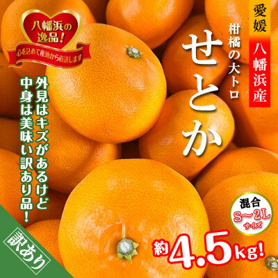 2026年2月発送開始　柑橘の大トロ!「せとか」約4.5キロ限定300個【訳あり品】【D39-52】_ 訳あり 訳アリ みかん ミカン 愛媛県 フルーツ 果物 くだもの 柑橘 かんきつ 人気 産地直送 産直 ジューシー 甘い 果汁 糖度 規格外【1464339】
