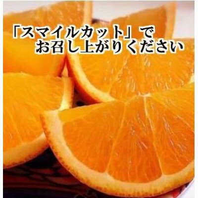 【ふるさと納税】2026年2月発送開始　柑橘の大トロ!「せとか」約4.5キロ限定300個【訳あり品】【D39-52】_ 訳あり 訳アリ みかん ミカン 愛媛県 フルーツ 果物 くだもの 柑橘 かんきつ 人気 産地直送 産直 ジューシー 甘い 果汁 糖度 規格外【1464339】 サムネイル3
