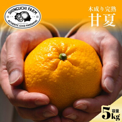 【木成り完熟】甘夏『ほのかな苦味とスッキリした甘み』 5kg / 10kg_ みかん ミカン 蜜柑 甘夏 あまなつ 甘夏みかん 柑橘 果物 フルーツ えひめ 愛媛県 八幡浜市 送料無料 【G1470662】