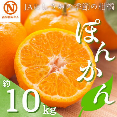 JAにしうわの季節の柑橘(ポンカン 約10kg)【F08-5】【1474210】