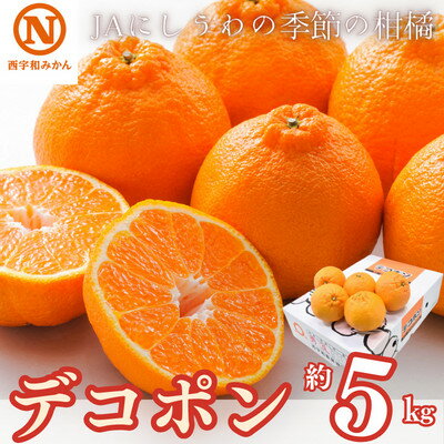 JAにしうわの季節の柑橘(デコポン 約5kg　化粧箱)【F08-8】【1474244】