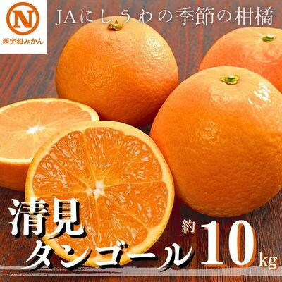 JAにしうわの季節の柑橘(清見タンゴール 約10kg)【G08-10】【1474254】
