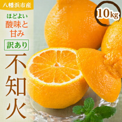 八幡浜産・不知火10kg【訳あり】【E56-40】_ 訳アリ わけあり ワケアリミカン みかん しらぬい シラヌイ 10kg フルーツ 果物 くだもの 家庭用 人気 柑橘 かんきつ 不揃い 規格外 傷 愛媛 旬 産地直送 【配送不可地域：離島】【1479305】