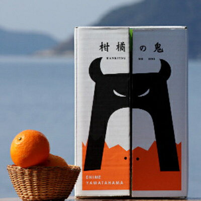 【ふるさと納税】八幡浜産・不知火10kg【訳あり】【E56-40】_ 訳アリ わけあり ワケアリミカン みかん しらぬい シラヌイ 10kg フルーツ 果物 くだもの 家庭用 人気 柑橘 かんきつ 不揃い 規格外 傷 愛媛 旬 産地直送 【配送不可地域：離島】【1479305】 サムネイル2