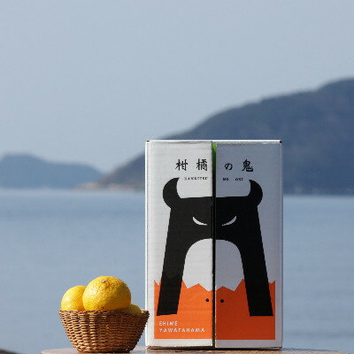 【ふるさと納税】八幡浜産・はるか10kg【訳あり】【C56-42】_ 訳あり わけあり ワケアリ 訳アリ はるか 柑橘 フルーツ くだもの 果物 青果 ふるーつ 甘い ジューシー 常温 産直 旬 愛媛 季節限定 傷 規格外 【配送不可地域：離島】【1479306】 サムネイル2