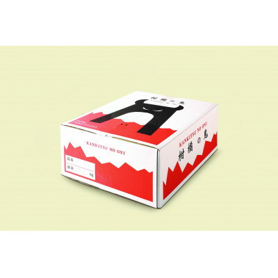 【ふるさと納税】八幡浜産・はるか10kg【訳あり】【C56-42】_ 訳あり わけあり ワケアリ 訳アリ はるか 柑橘 フルーツ くだもの 果物 青果 ふるーつ 甘い ジューシー 常温 産直 旬 愛媛 季節限定 傷 規格外 【配送不可地域：離島】【1479306】 サムネイル3