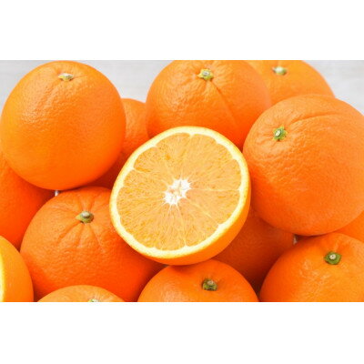 八幡浜産・ネーブル10kg【訳あり】【D56-44】_ 訳あり わけあり 訳アリ オレンジ ネーブル 柑橘 フルーツ くだもの 果物 青果 ふるーつ 甘い ジューシー 常温 産直 産地直送 旬 愛媛 季節限定 傷 規格外 【配送不可地域：離島】【1479309】