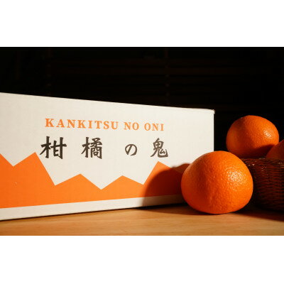 【ふるさと納税】八幡浜産・ネーブル10kg【訳あり】【D56-44】_ 訳あり わけあり 訳アリ オレンジ ネーブル 柑橘 フルーツ くだもの 果物 青果 ふるーつ 甘い ジューシー 常温 産直 産地直送 旬 愛媛 季節限定 傷 規格外 【配送不可地域：離島】【1479309】 サムネイル2