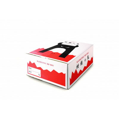 【ふるさと納税】八幡浜産・ネーブル10kg【訳あり】【D56-44】_ 訳あり わけあり 訳アリ オレンジ ネーブル 柑橘 フルーツ くだもの 果物 青果 ふるーつ 甘い ジューシー 常温 産直 産地直送 旬 愛媛 季節限定 傷 規格外 【配送不可地域：離島】【1479309】 サムネイル3