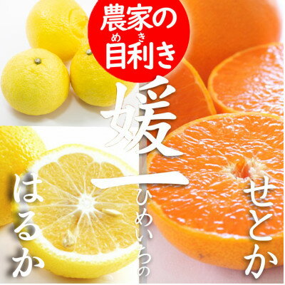 《愛媛・八幡浜柑橘詰合せ》よくばり2箱セット(せとか・はるかの2品種)【C28-37】【1488778】