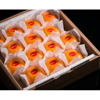 真穴みかん【貴賓】特級(24個入)【F44-2】【1490878】