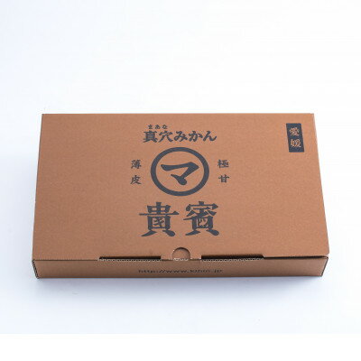 【ふるさと納税】真穴みかん【貴賓】特級(24個入)【F44-2】【1490878】 サムネイル2