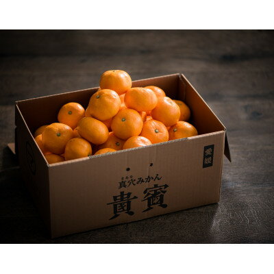 真穴みかん【貴賓】小粒【D44-3】【1490884】