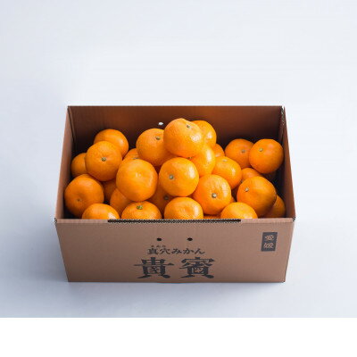 【ふるさと納税】真穴みかん【貴賓】小粒【D44-3】【1490884】 サムネイル3