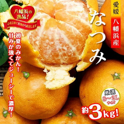 2026年4月発送開始　甘みが強くて濃厚な味わい‼初夏のみかん「なつみ」約3kg 【C39-57】_ みかん ミカン 柑橘 なつみ 南津海 新品種 果物 くだもの フルーツ 旬 愛媛 濃厚 甘み 国産 産直 産地直送 【配送不可地域：離島】【1491395】