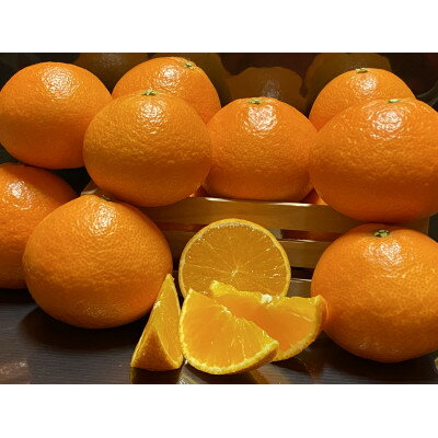 太陽と海のまどんな2.5kg【贈答用】【D73-2】【1491884】